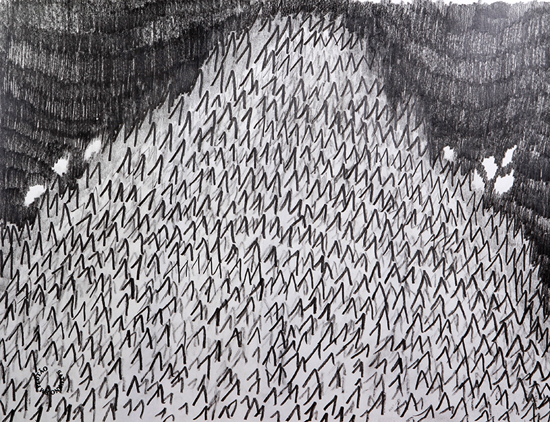 Luis Silveirinha - Saturno em plutao 6A ,grafite sobre papel, 55x47 cm, 2019