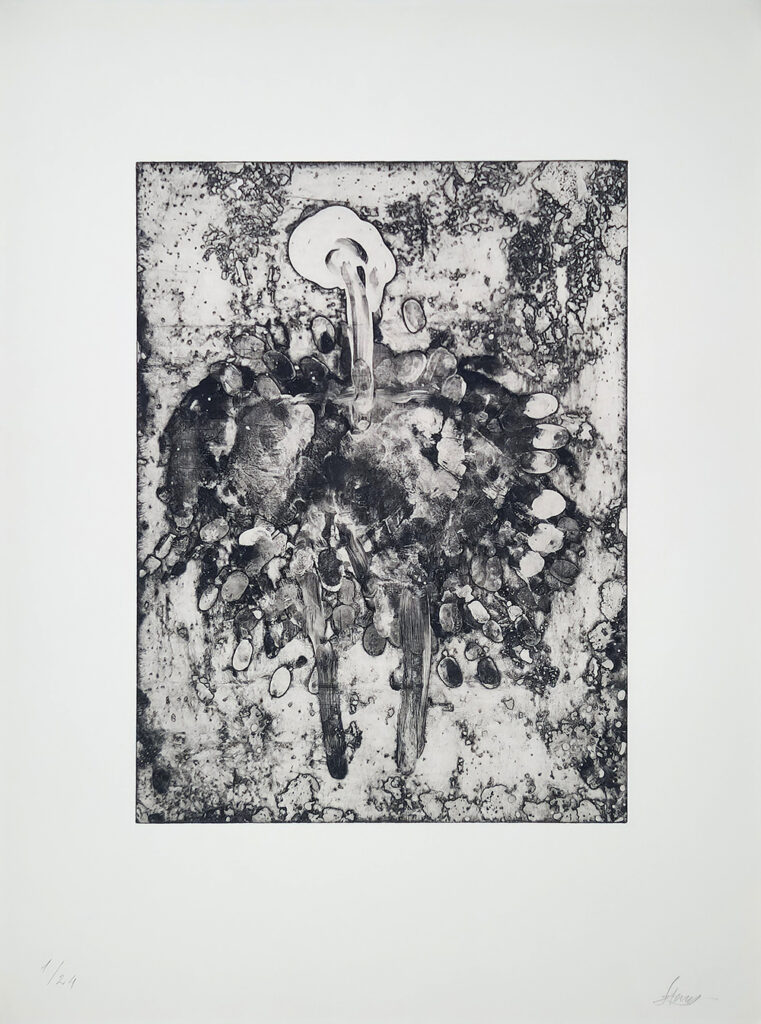 Francisco Tropa, título desconhecido, sem data, gravura sobre papel 1-24, 65x50 cm BD