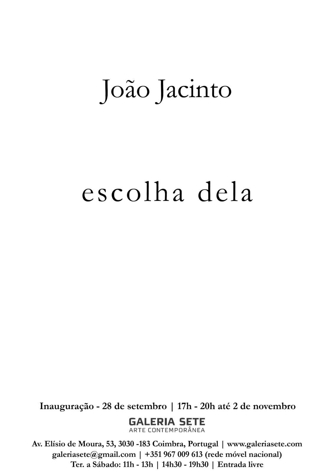 João Jacinto, escolha dela, exposição, Galeria Sete