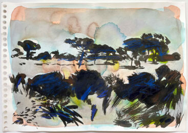 Isabel Sabino, Os álbuns de Ana- Realidade 28, 2021, técnica mista de aguadas sobre papel, 40x50 cm BD