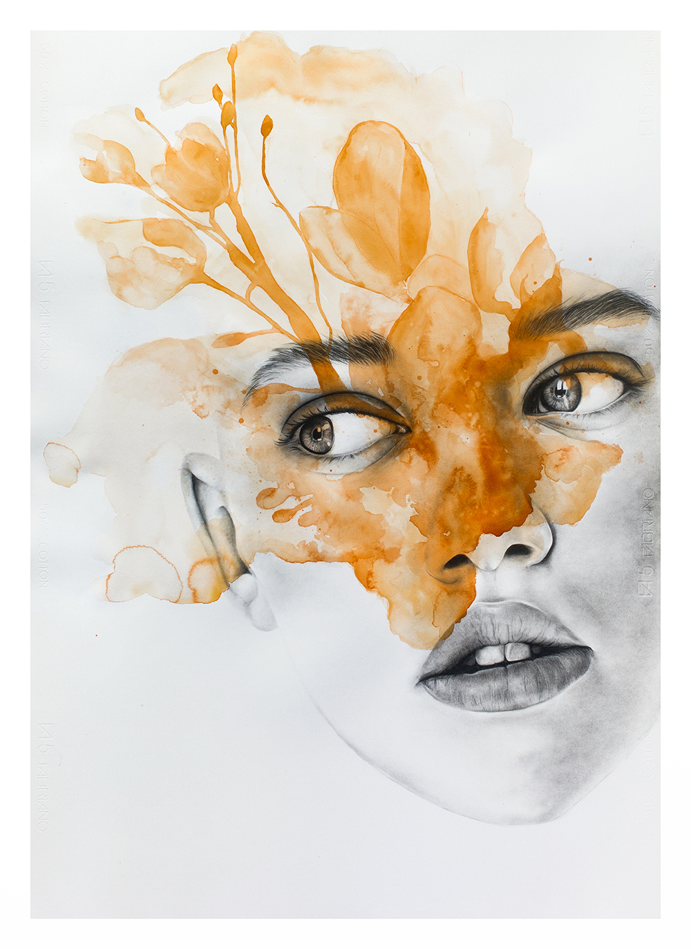 Diatomácia_Bloom state I_grafite e aguarela sobre papel_100x70 cm_2025 BD