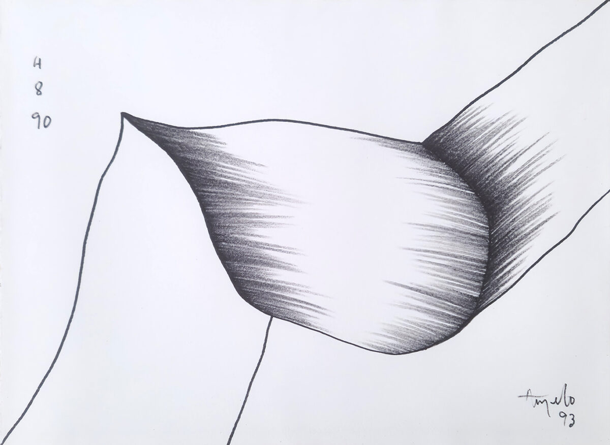 Ângelo de Sousa, Sem título, 1993, carvão sobre papel, 50x65 cm BD