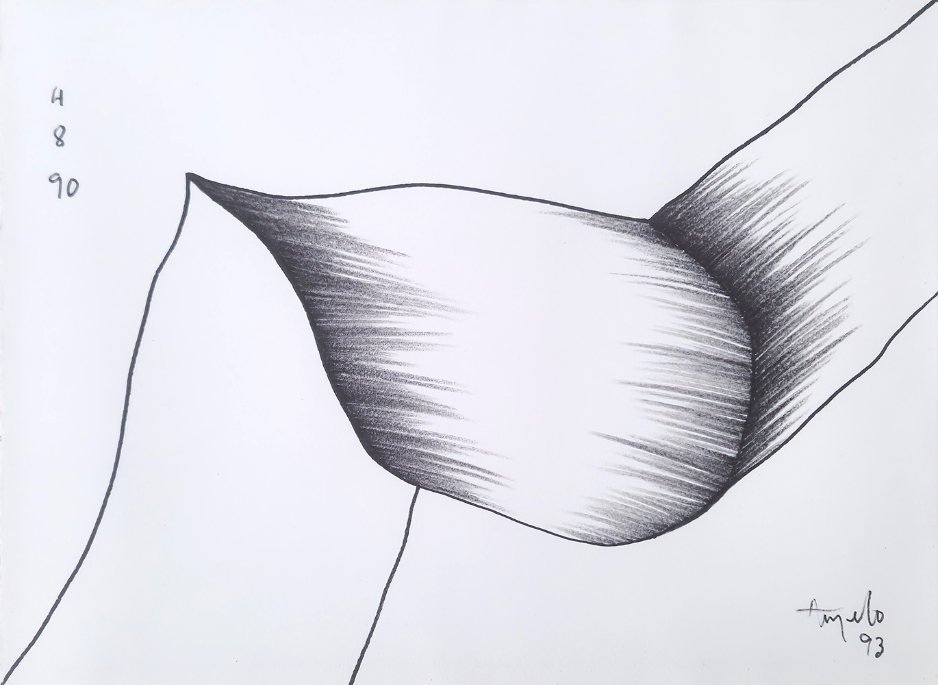 Ângelo de Sousa, Sem título, 1993, carvão sobre papel, 50x65 cm BD